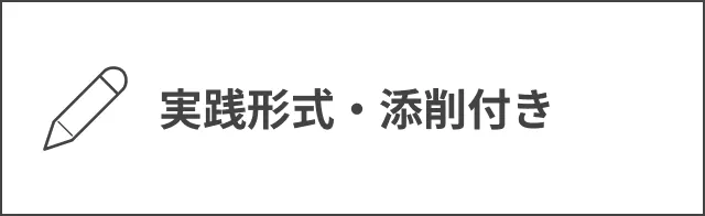 実践形式・添削付き